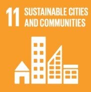 SDG Goal 11