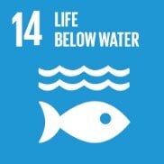 SDG Goal 14