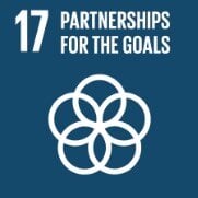 SDG Goal 17