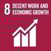 SDG Goal 8